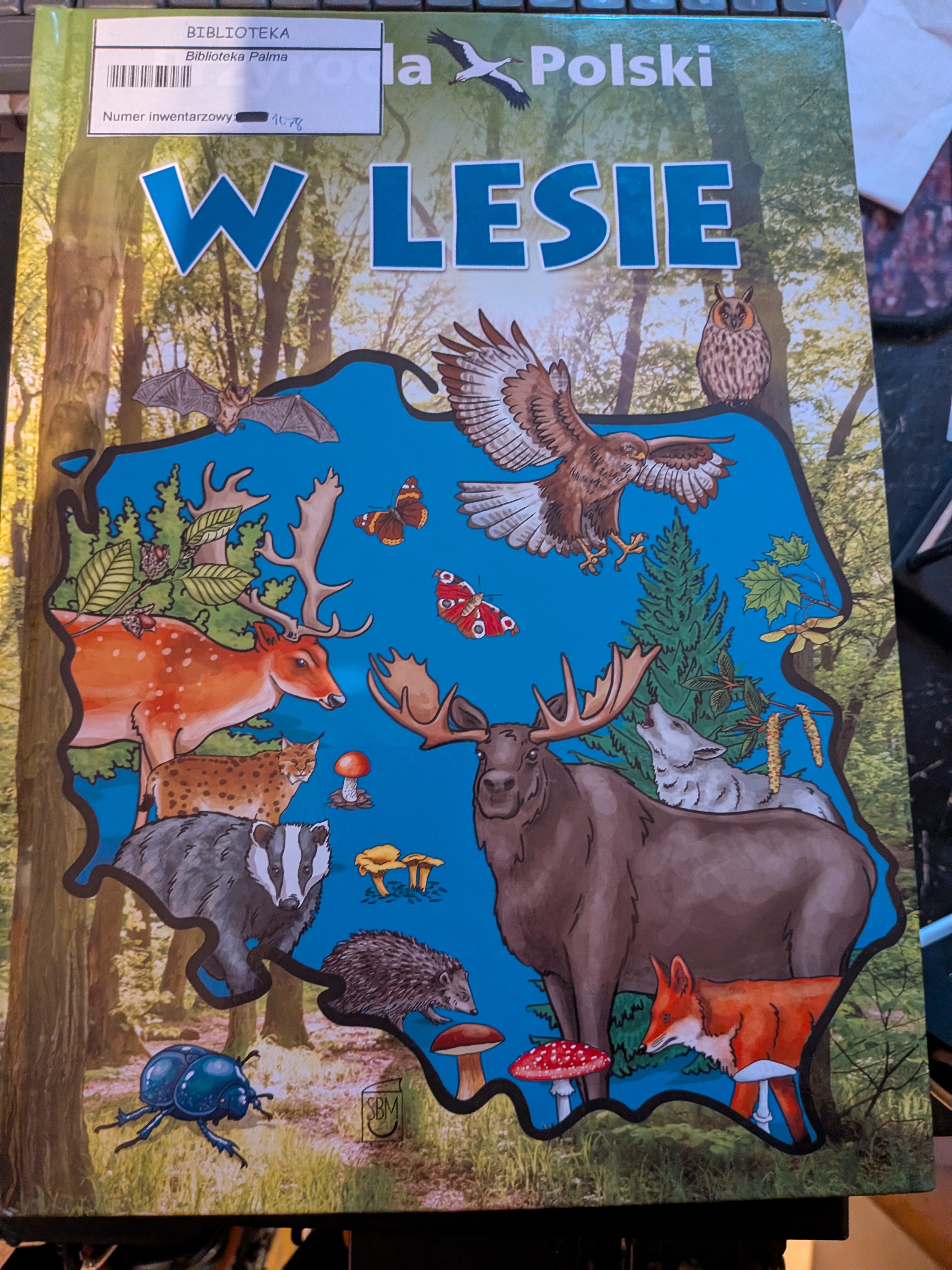 W lesie